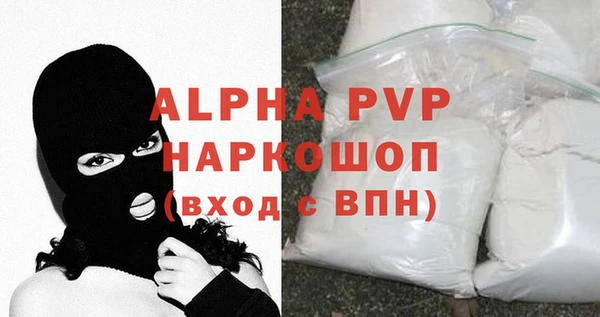 СК Бронницы