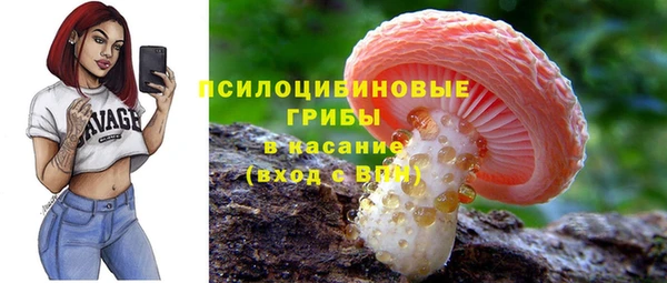 СК Бронницы