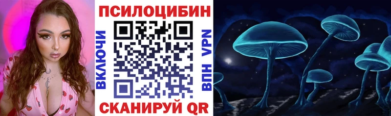 цены   Кимры  Псилоцибиновые грибы Magic Shrooms 